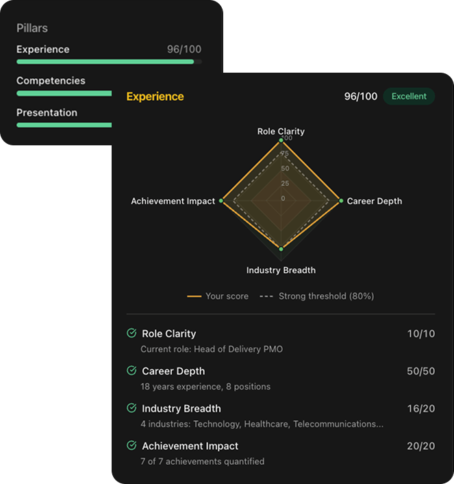 Profile Excellence showing pillar scores and Experience radar chart with 96/100