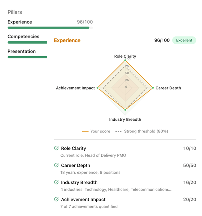 Profile Excellence showing pillar scores and Experience radar chart with 96/100